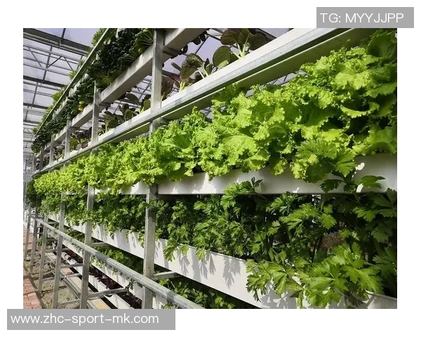 平洲足球农庄探索乡村振兴新路径助力青少年足球梦想成真 平洲足球农庄探索乡村振兴新路径助力青少年足球梦想成真